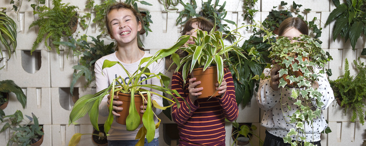 natuur in de school natuur in de school