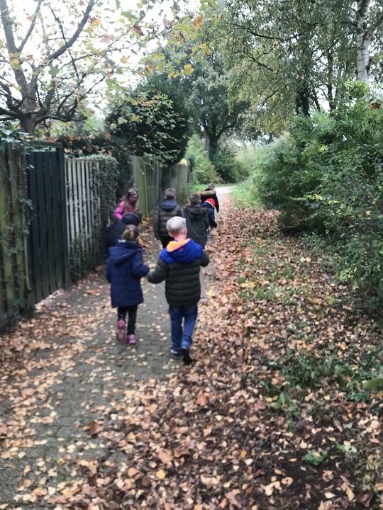 Rekenen in de natuur